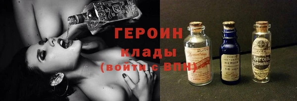 прущие грибы Богданович