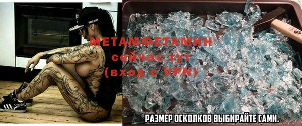 прущие грибы Богданович