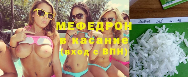 прущие грибы Богданович