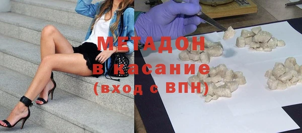 прущие грибы Богданович