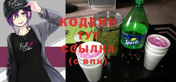 прущие грибы Богданович