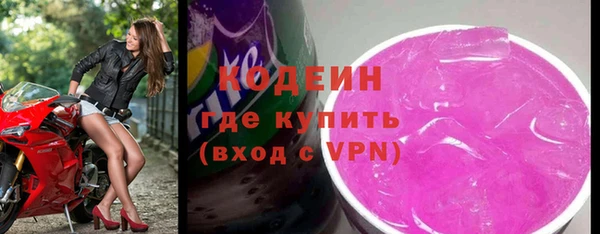 прущие грибы Богданович